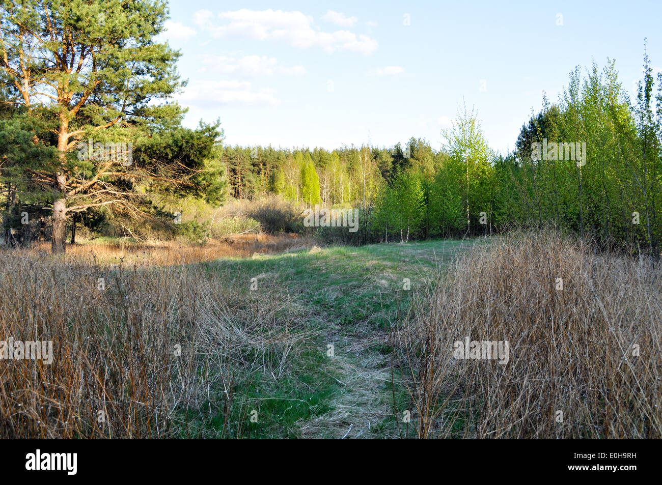 National Park 