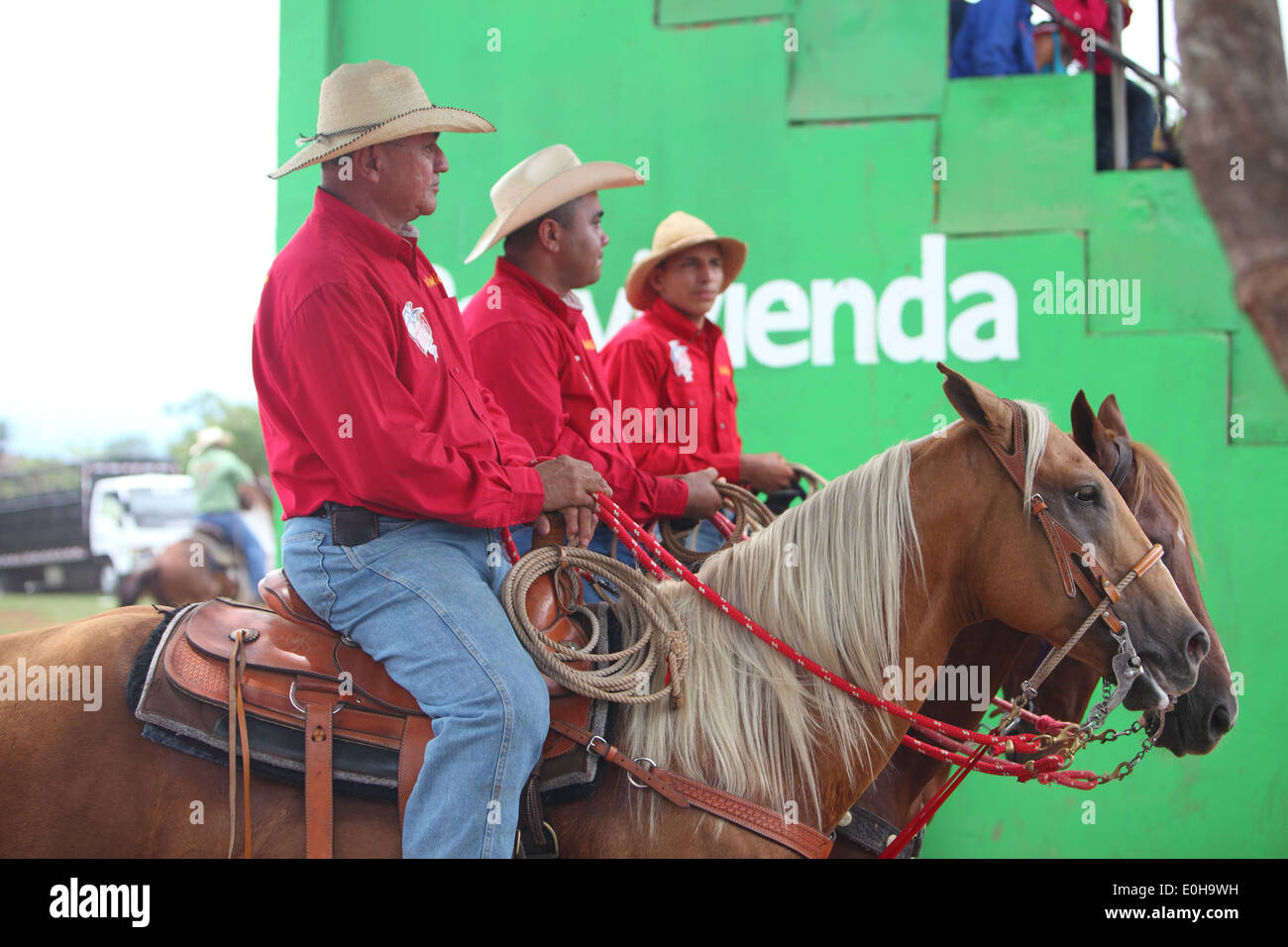 horses at rodeo horse riding catching bull, San Francisco, Veraguas, Panama Stock Photo Alamy