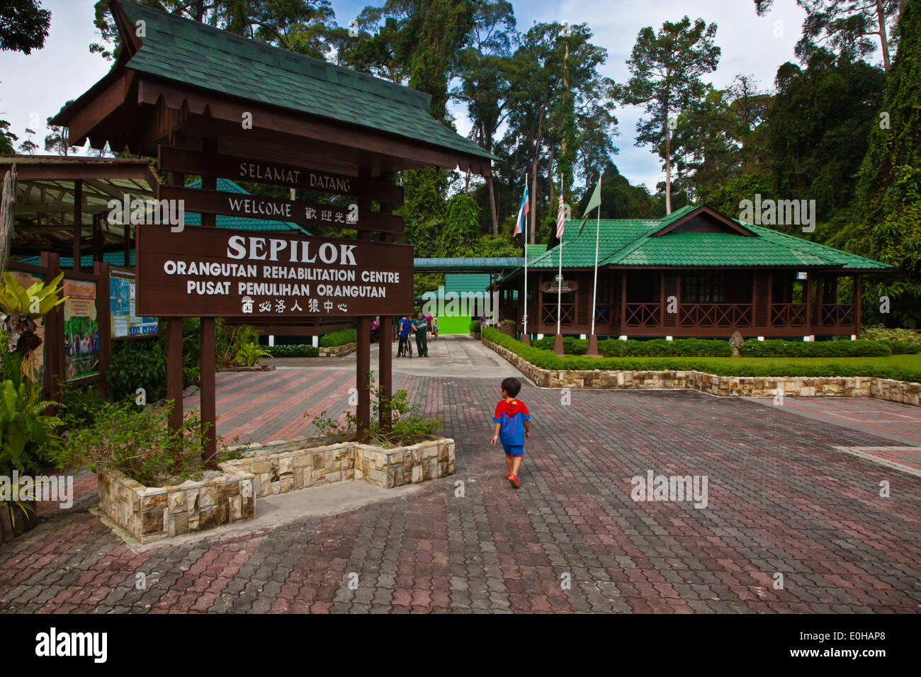 The Sepilok Orangutan Rehabilitation Center is located outside of Sandakan in the state of Sabah - MALAYSIA, BORNEO Stock Photo