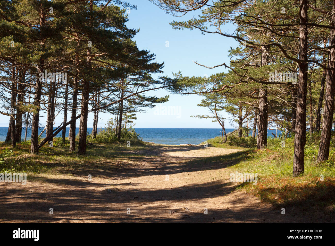 pathway to the sea Stock Photo - Alamy