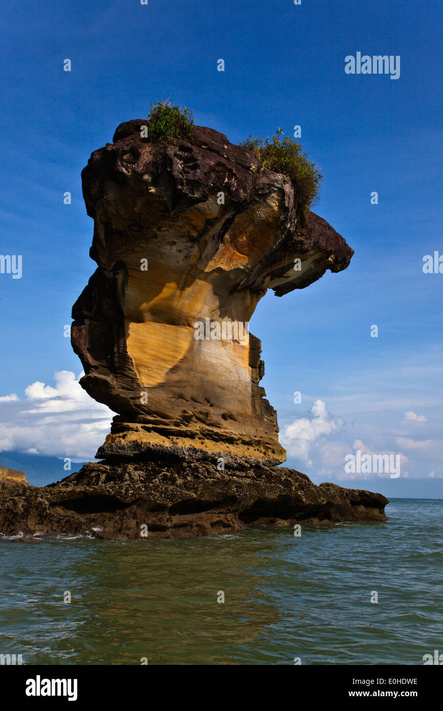 SEASTACKS along the coastline in BAKO NATIONAL PARK which is located in SARAWAK - BORNEO, MALAYSIA Stock Photo