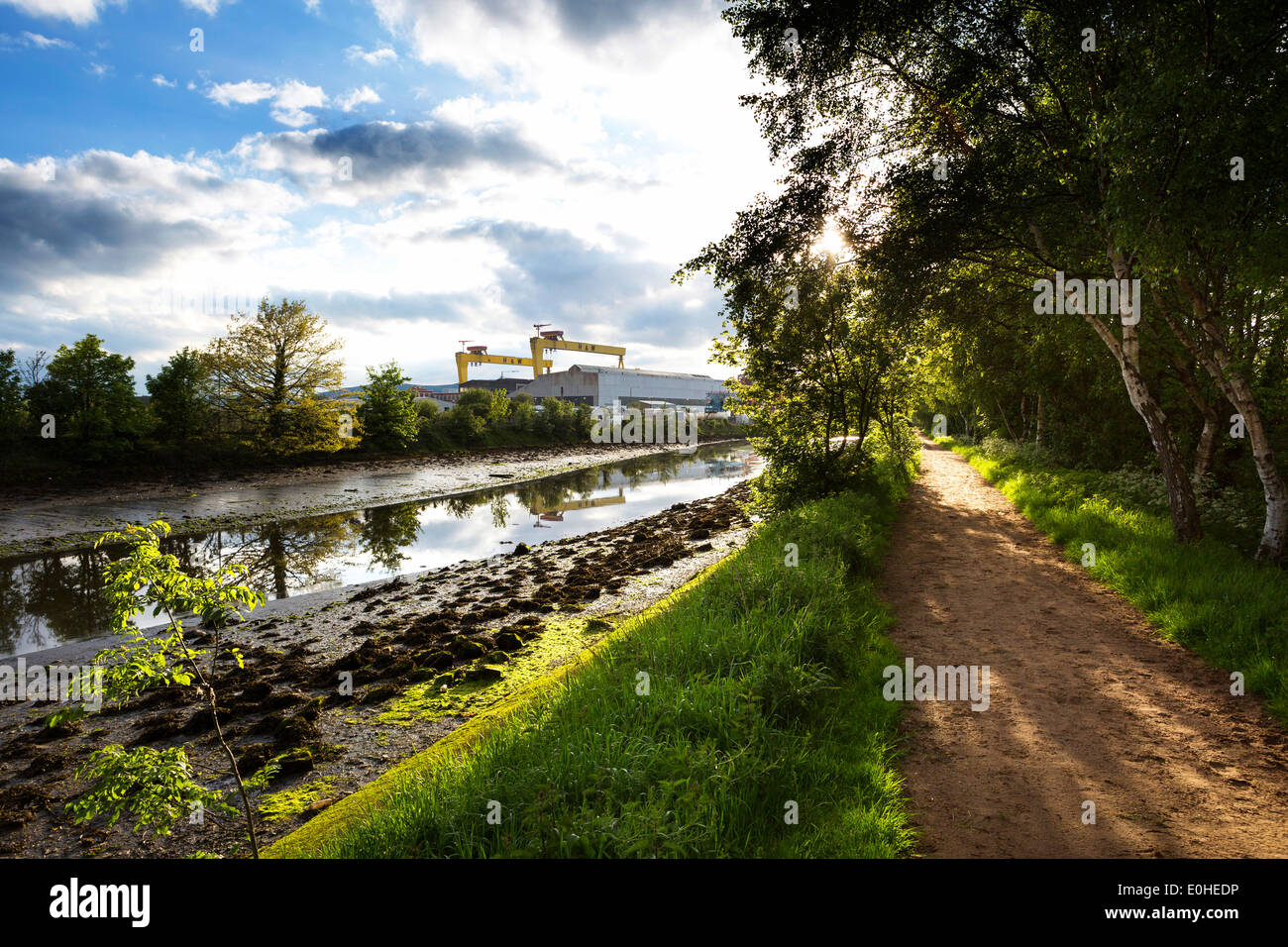 Victoria Park and the Harbour Estate, Belfast, Northern Ireland Stock Photo