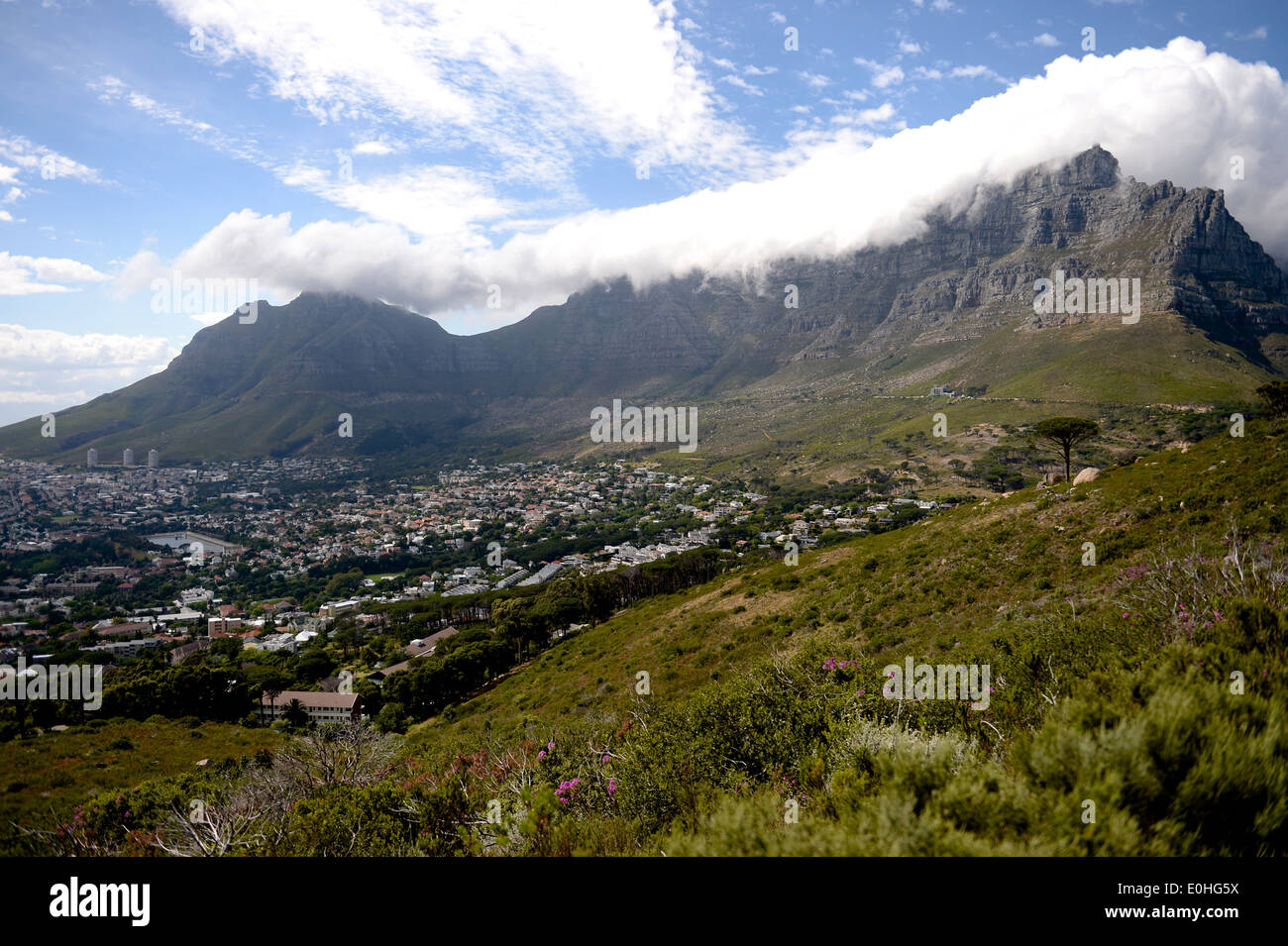 A landscape image of Table Top Mountain in Capetown Stock Photo Alamy