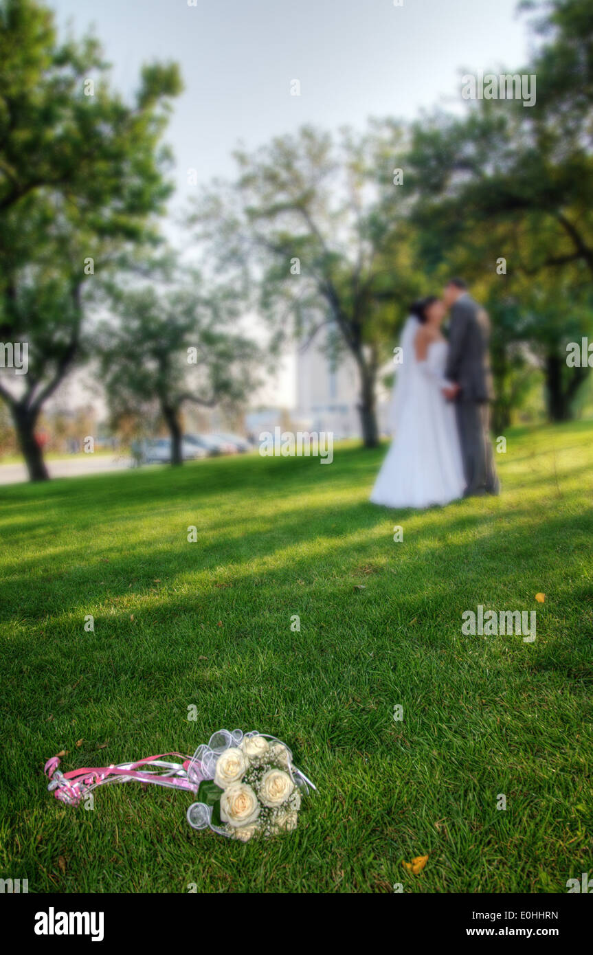 The bride and groom go to the park among the trees Stock Photo - Alamy
