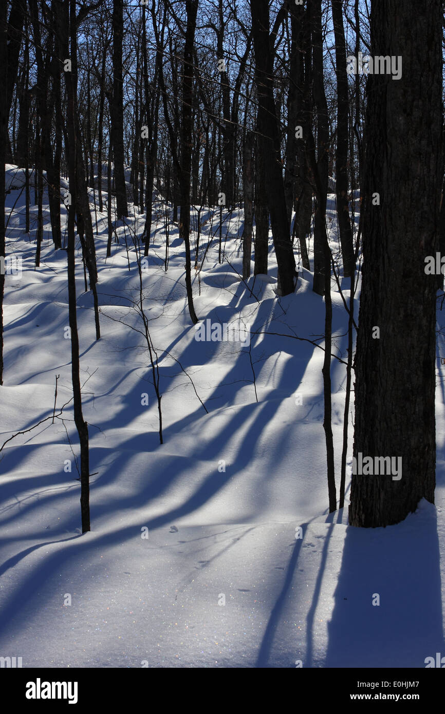 Winter in Gatineau Park, Quebec, Canada, March 23, 2014 Stock Photo Alamy