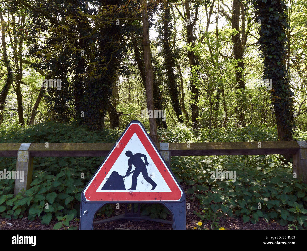 Roadworks sign in Cheshire woodlands UK Stock Photo