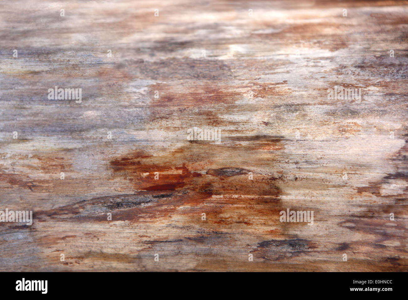 Close-up of a wood structure Stock Photo