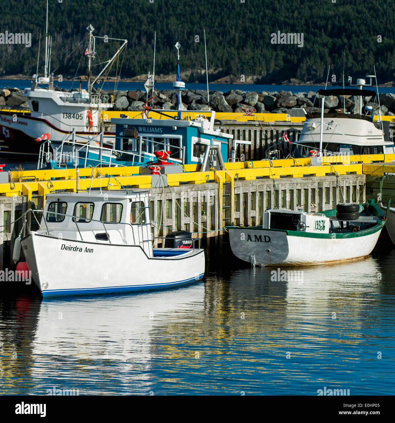 Fishing boats at dock, Bay Bulls Harbor, Bay Bulls, Avalon Peninsula