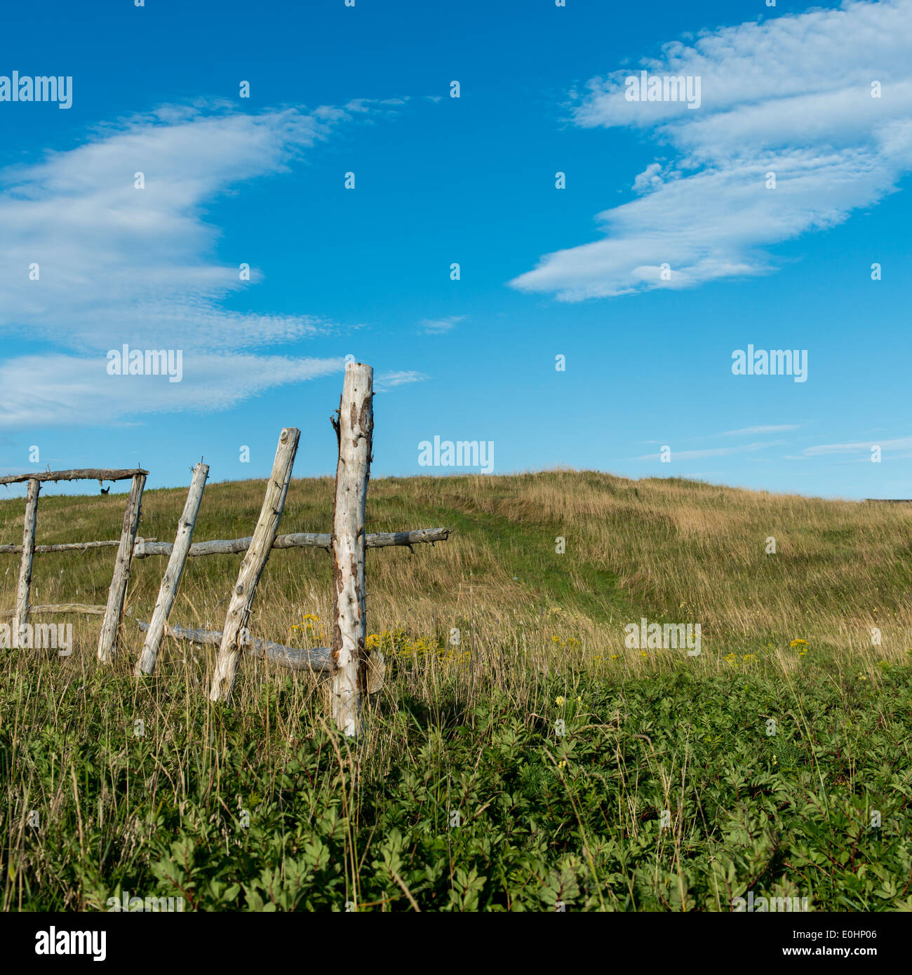 Fence at Witless Bay, Avalon Peninsula, Newfoundland And Labrador