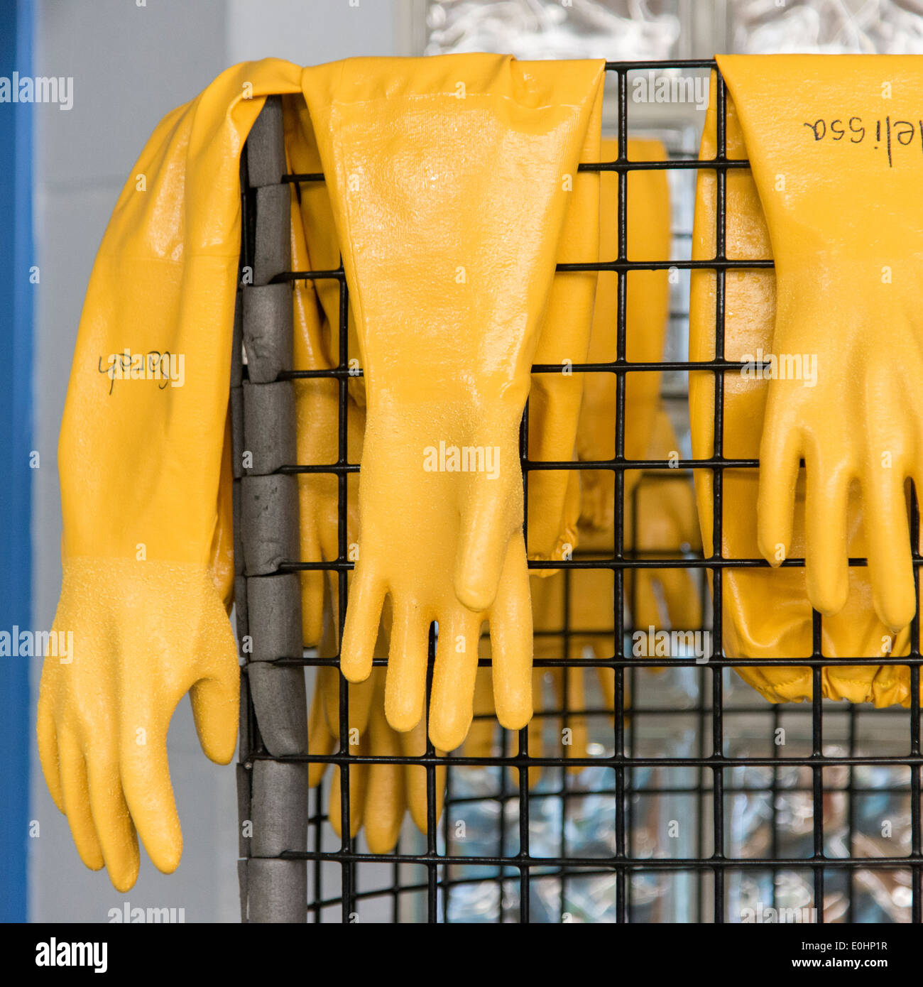 Fishing gloves hi-res stock photography and images - Alamy