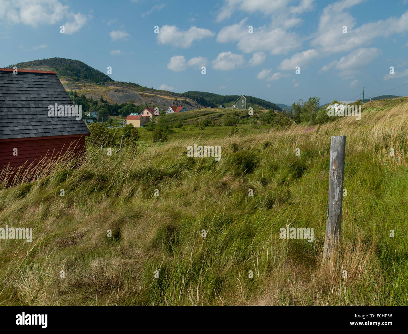 Houses in Trinity, Bonavista Peninsula, Newfoundland And Labrador