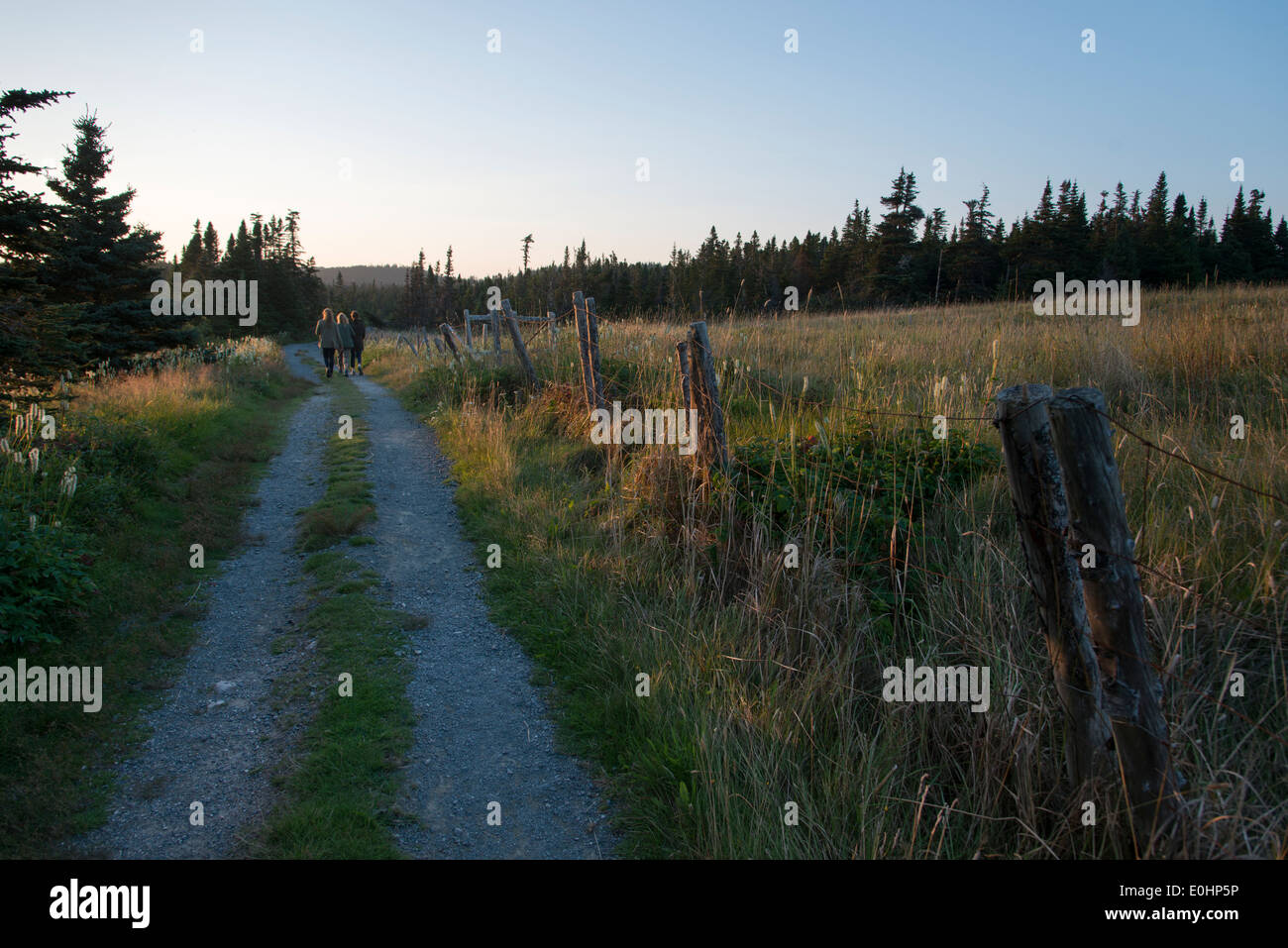 Hikers at Skerwink Trail, Port Rexton, Bonavista Peninsula, Newfoundland And Labrador, Canada Stock Photo