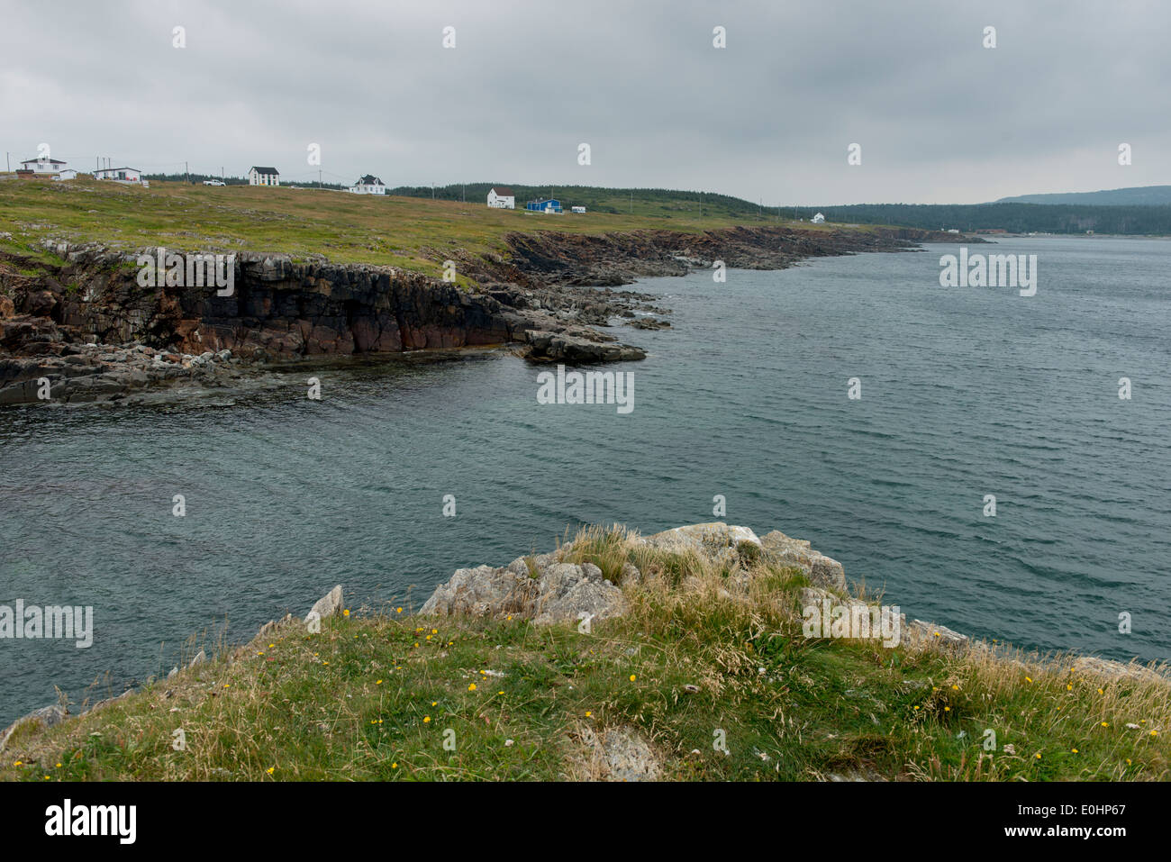 Houses at the coast, North Bird Island, Little Catalina, Bonavista