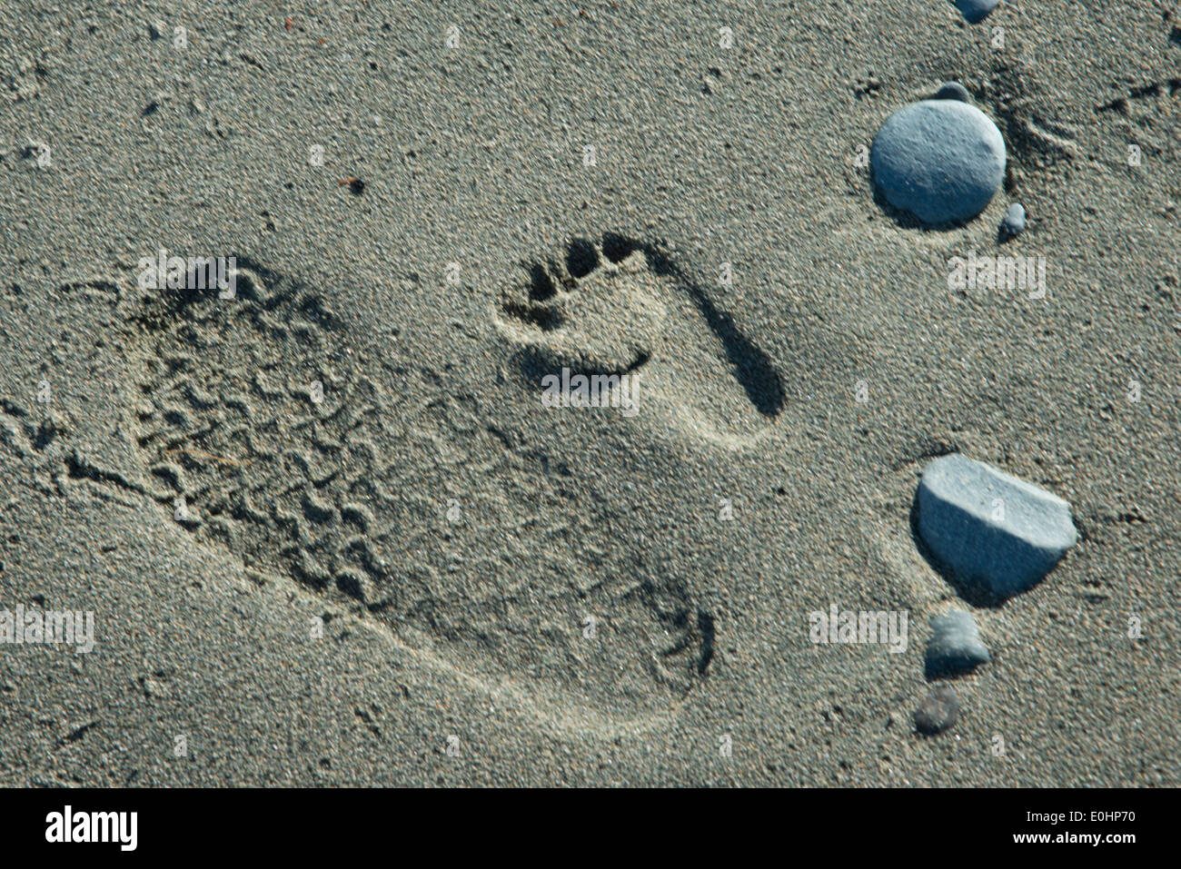 Footprints in sand, North Twillingate Island, Newfoundland And Labrador, Canada Stock Photo