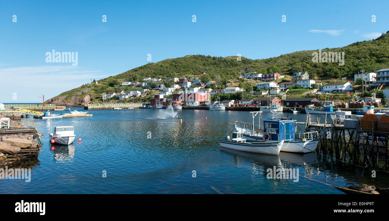 Petty harbor maddox cove hires stock photography and images Alamy