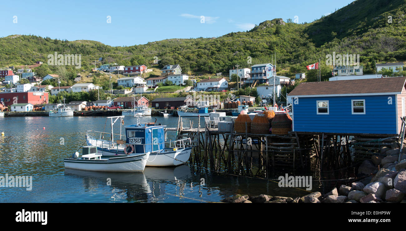 Boats at Petty Harbor-Maddox Cove, St. John's, Avalon Peninsula, Newfoundland And Labrador, Canada Stock Photo