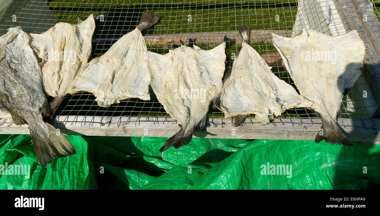 Dried fish canada hires stock photography and images Alamy