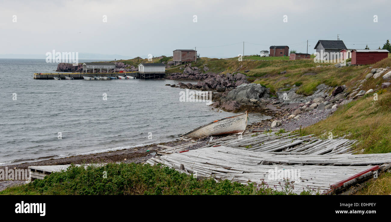 Houses along coastline, Open Hall, Bonavista Peninsula, Newfoundland