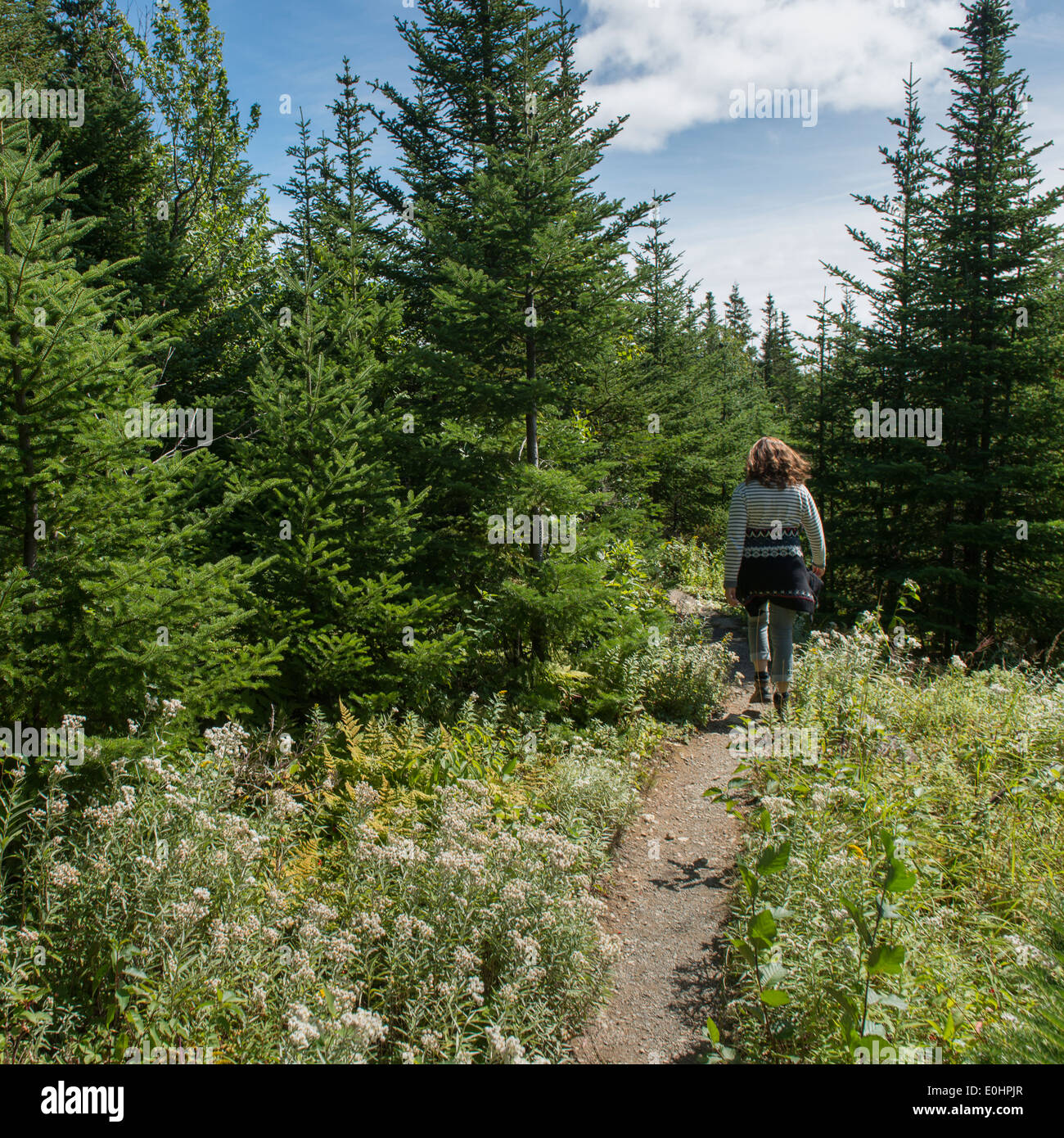 Mature woman hiking on trail hi-res stock photography and images - Alamy