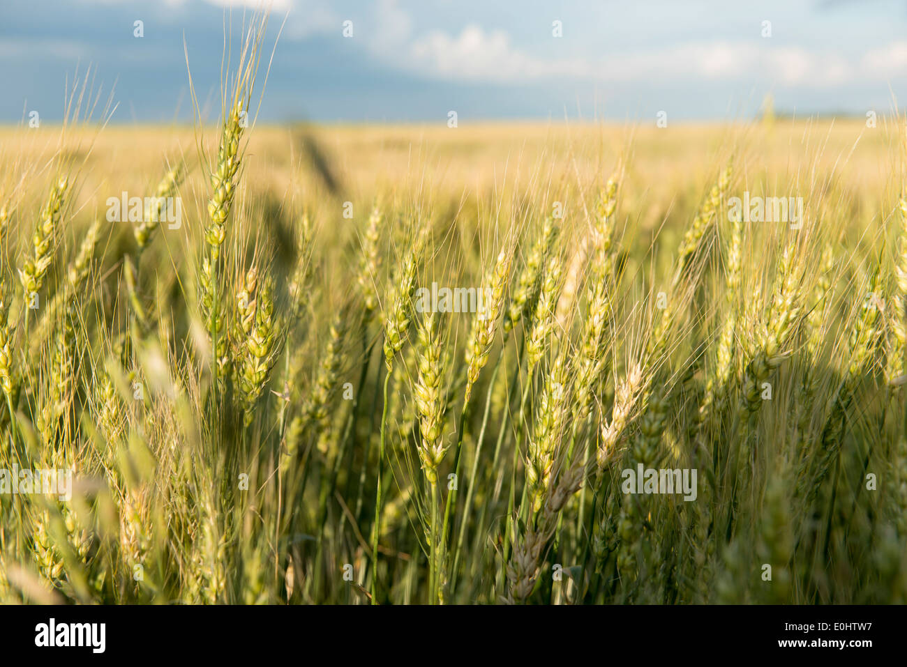 Lorette manitoba hires stock photography and images Alamy