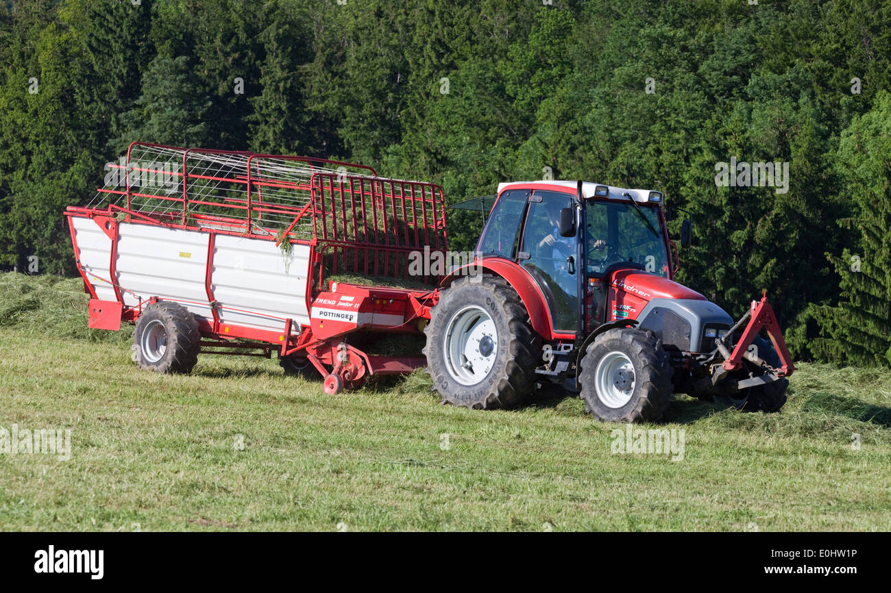 Feldarbeit, Heuernte - Hay harvest Stock Photo