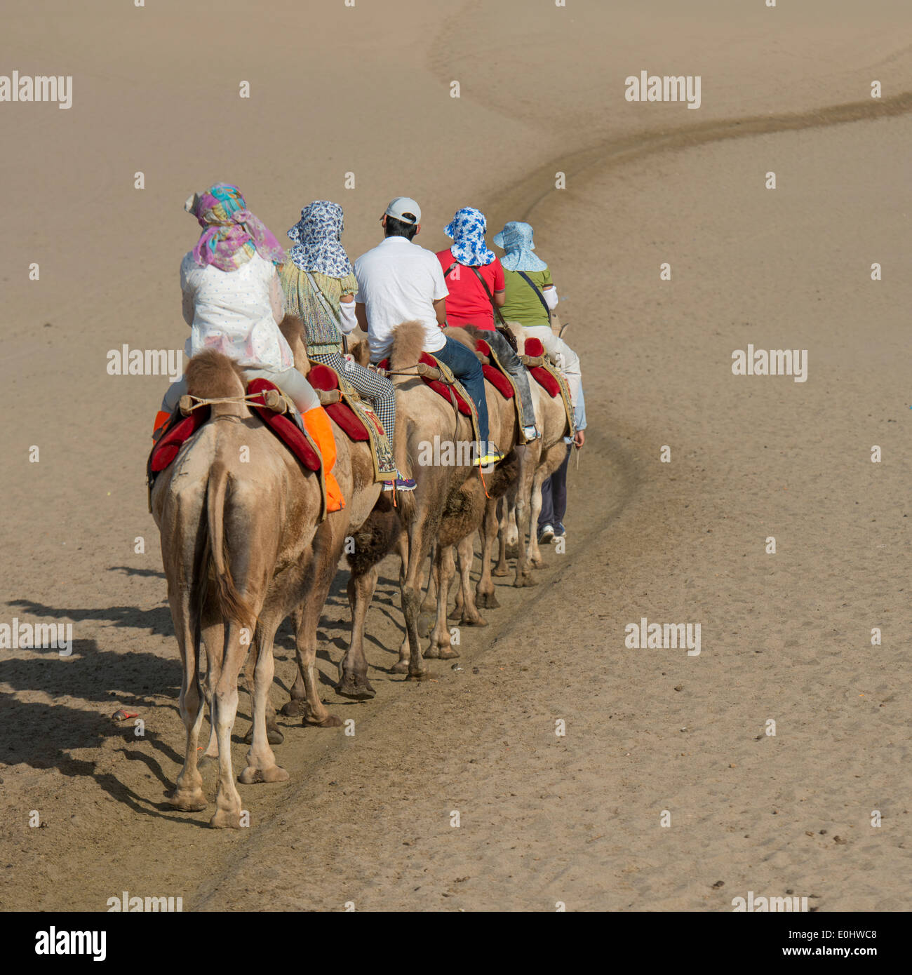 Tourists riding camels at Mingsha Shan, Dunhuang, Jiuquan, Gansu ...