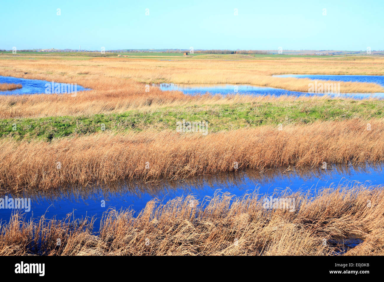 Isle of sheppey marshland hi-res stock photography and images - Alamy