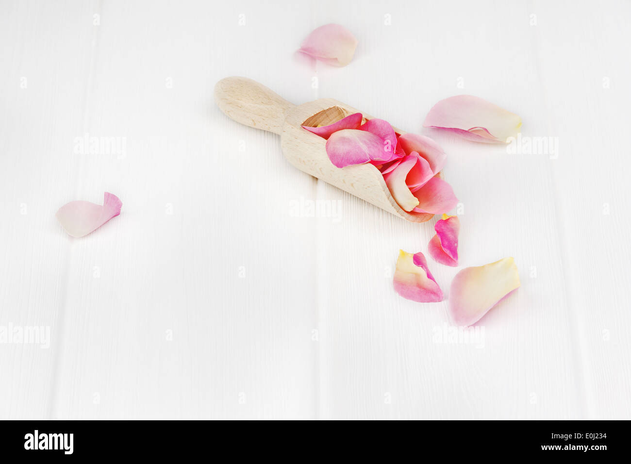 Petals falling flower rose hi-res stock photography and images - Alamy