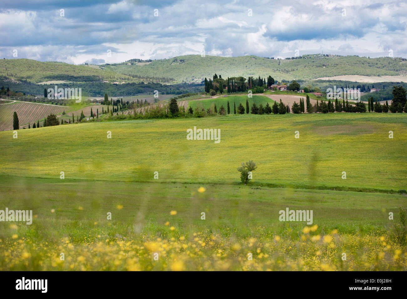 Countryside in Chianti, Tuscany Italy. Stock Photo