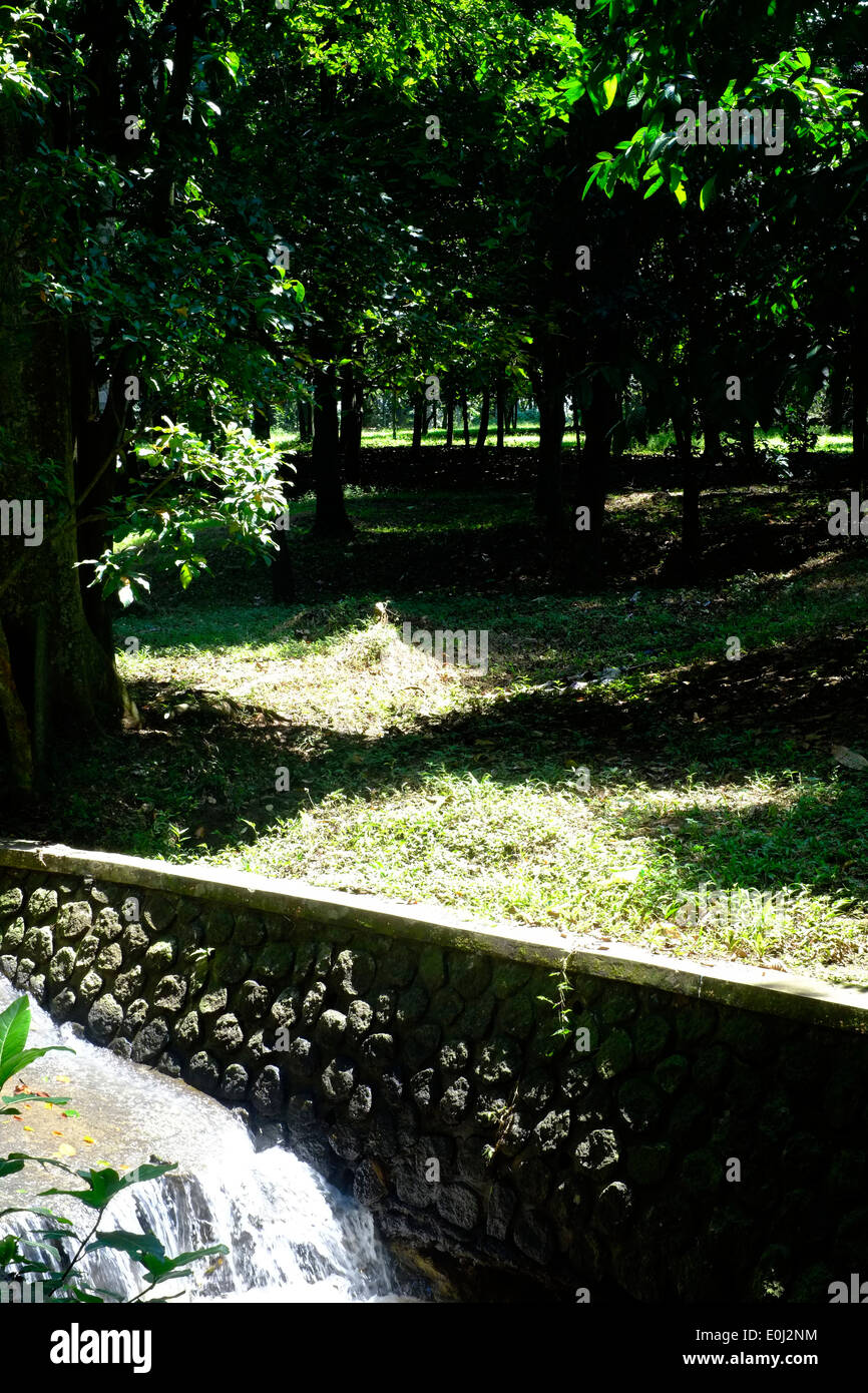 water flowing through a culvert amongst the shade at the purwodadi ...