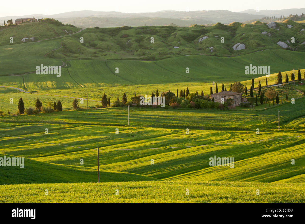 Tuscany countryside, Senesi Italy. Stock Photo