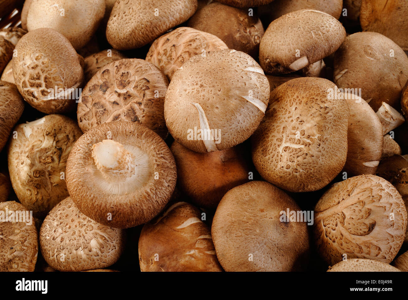 Fresh Shiitake Mushrooms Background Stock Photo Alamy