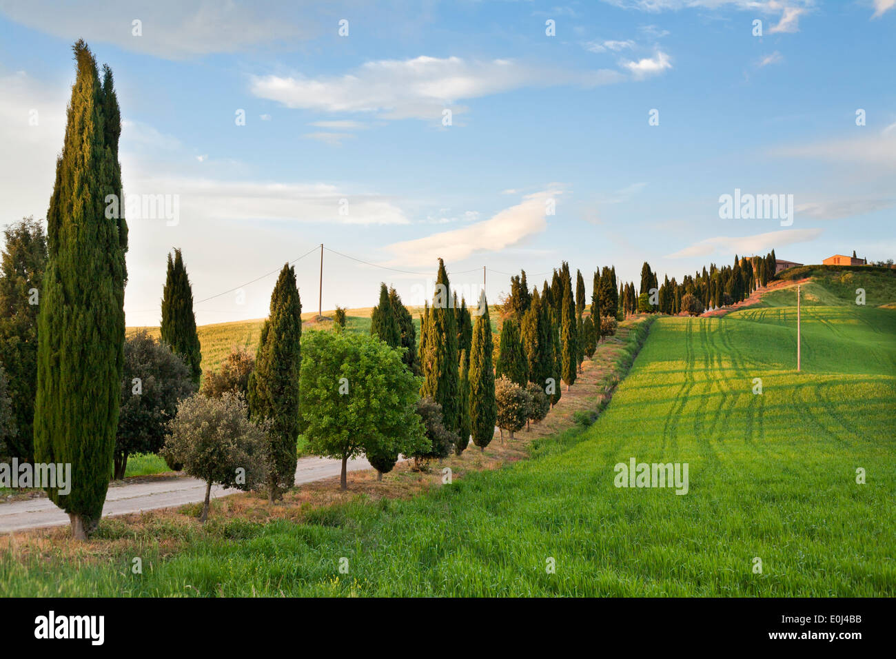 Tuscany landscape, Crete Senesi Italy. Stock Photo