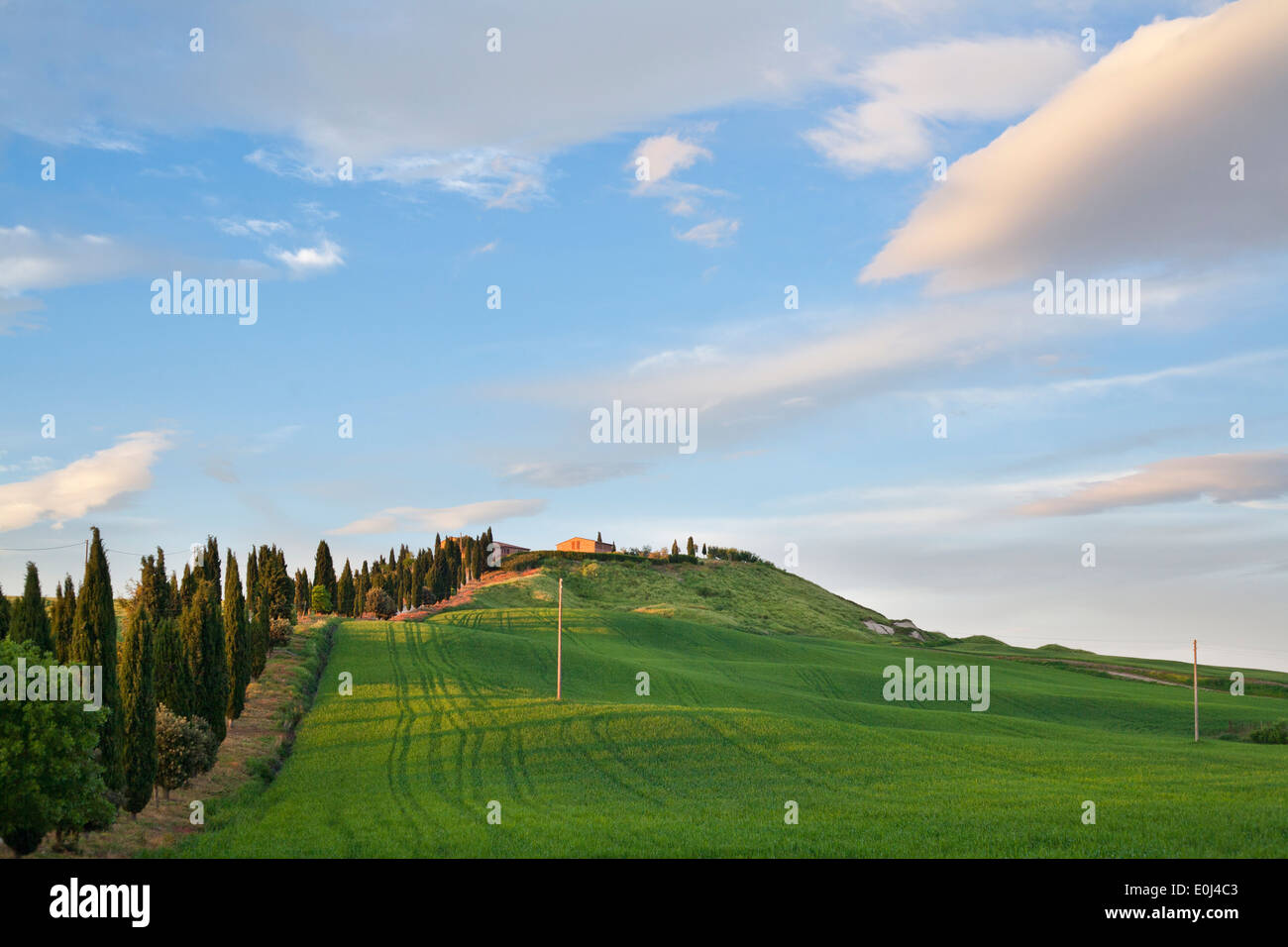Tuscany landscape, Crete Senesi Italy. Stock Photo