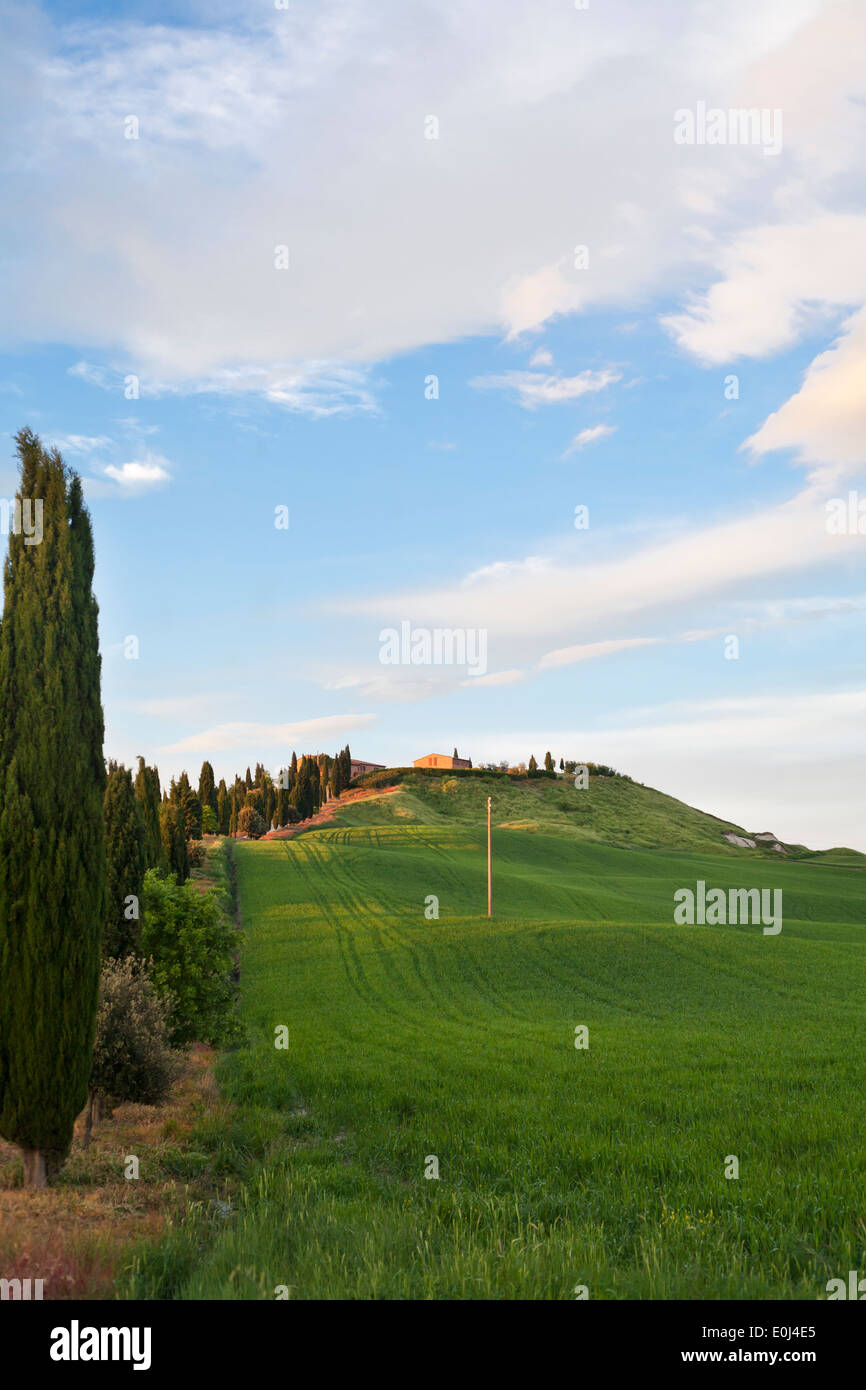 Tuscany countryside, La Crete Senesi. Stock Photo