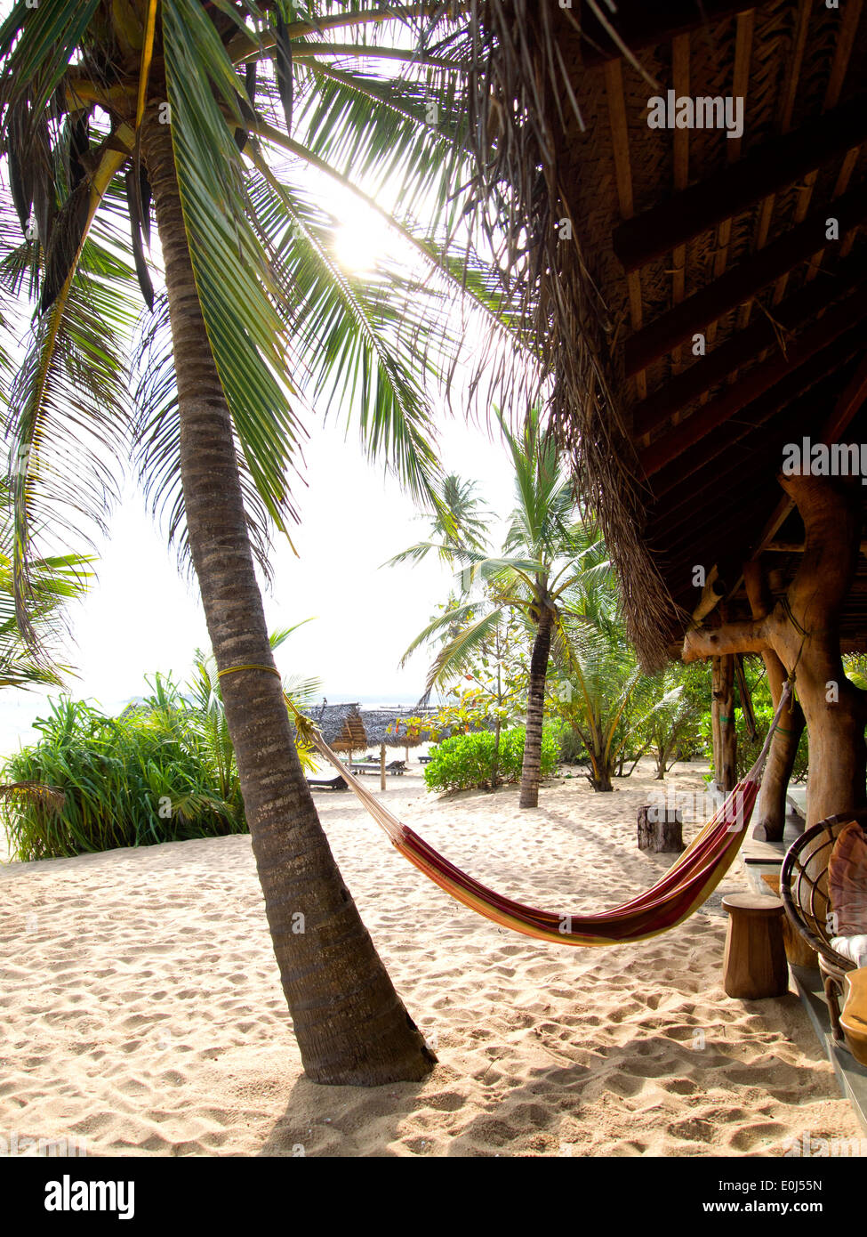 Beautiful landscape at the beach of Sri Lanka Stock Photo