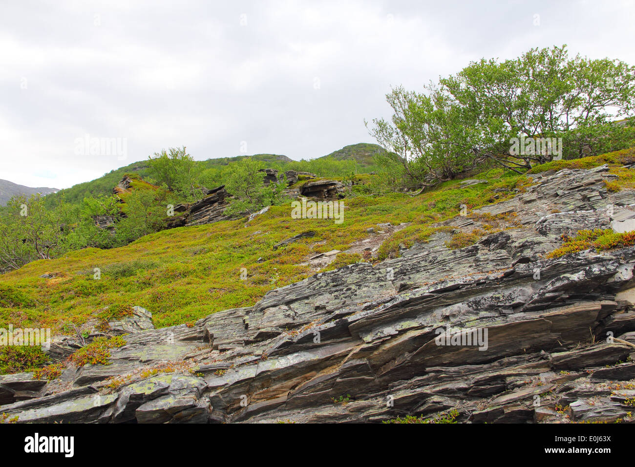 Geological rock layers of norwegian mounatins Stock Photo - Alamy