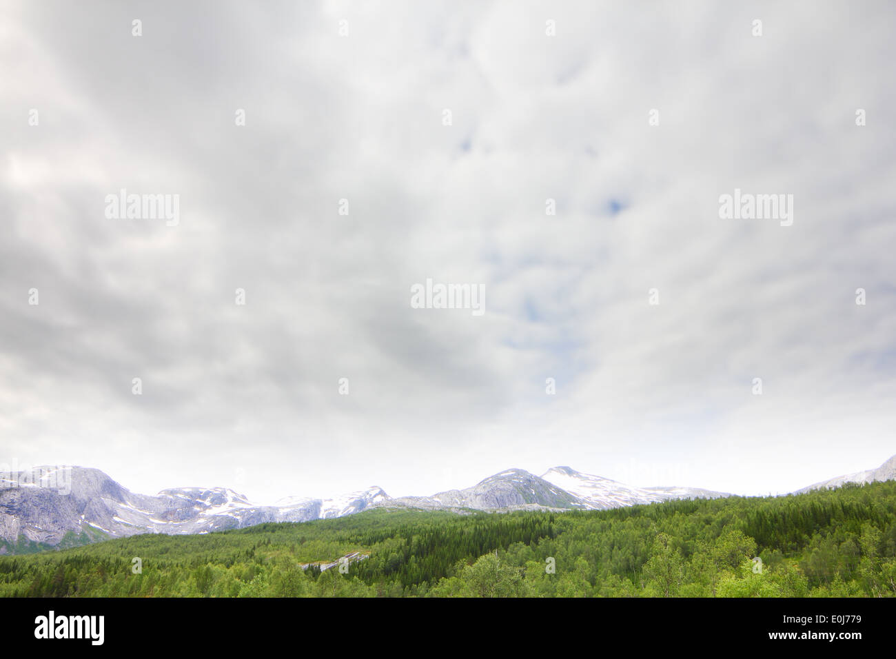 Norwegian forest and mountains Stock Photo