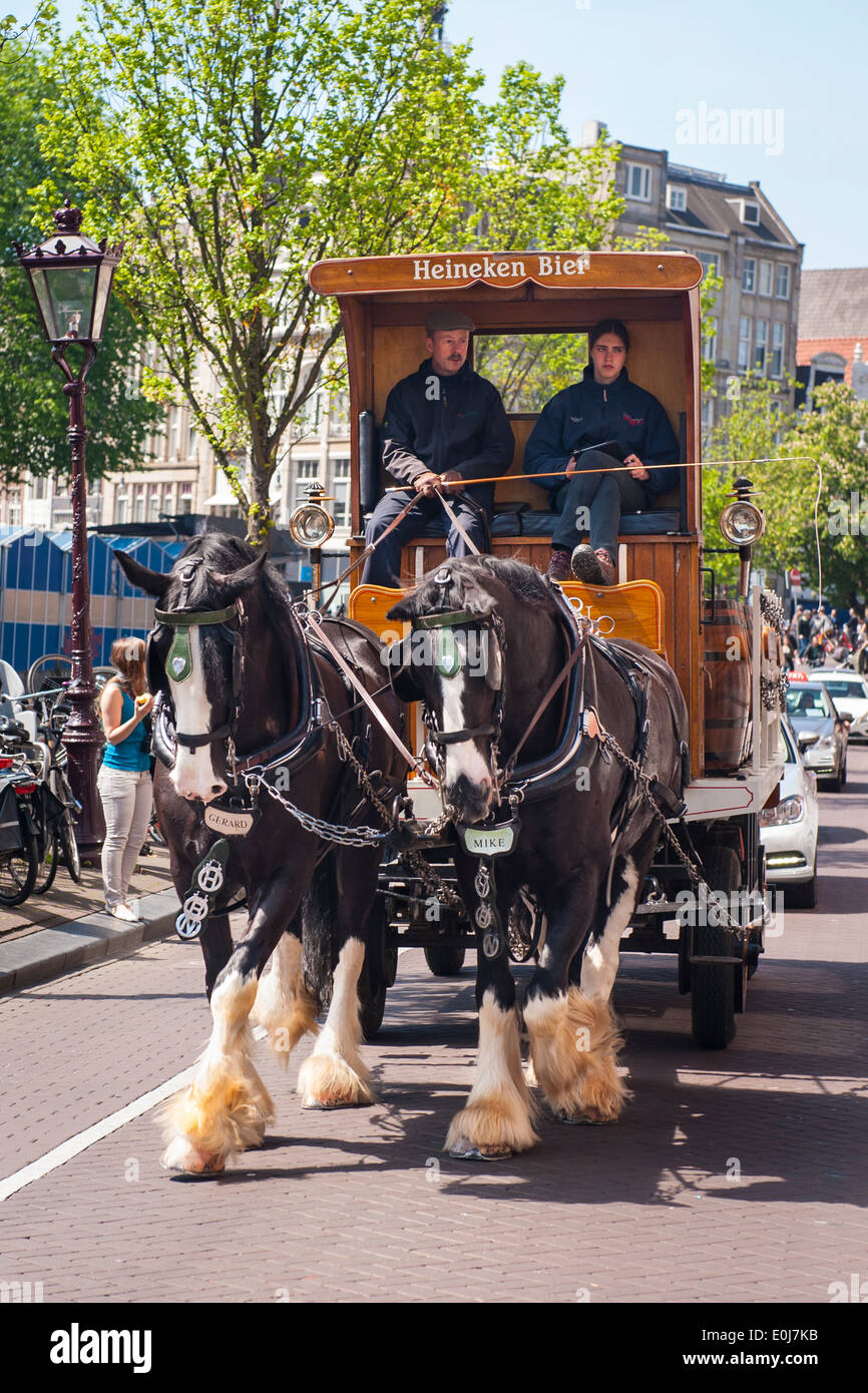 Holland , Netherlands , Amsterdam old city , Heineken Bier Beer horses