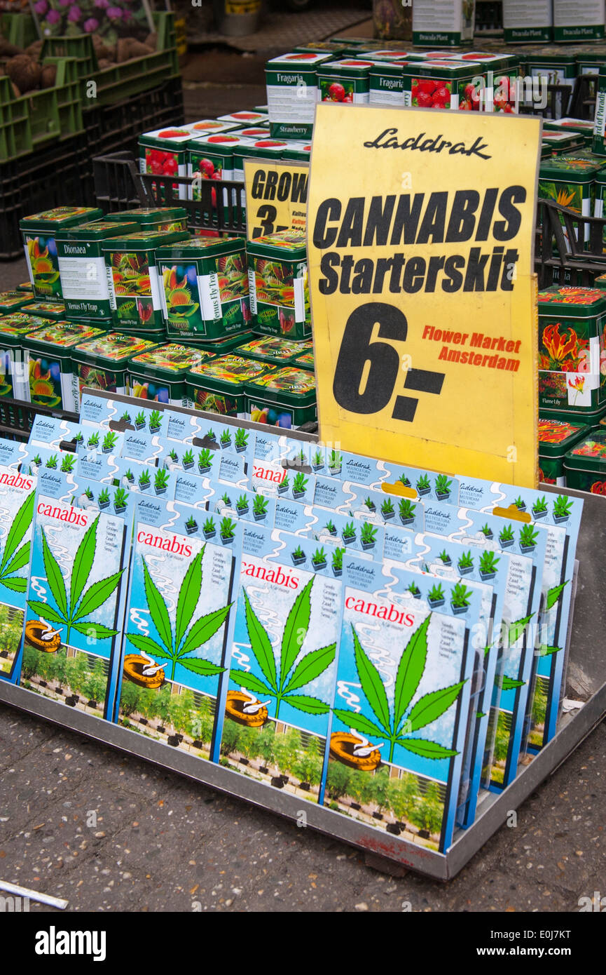 Holland , Netherlands , Amsterdam city , flower market shop cannabis canabis seed packs & tins venus flytrap Dionaea muscipula Stock Photo