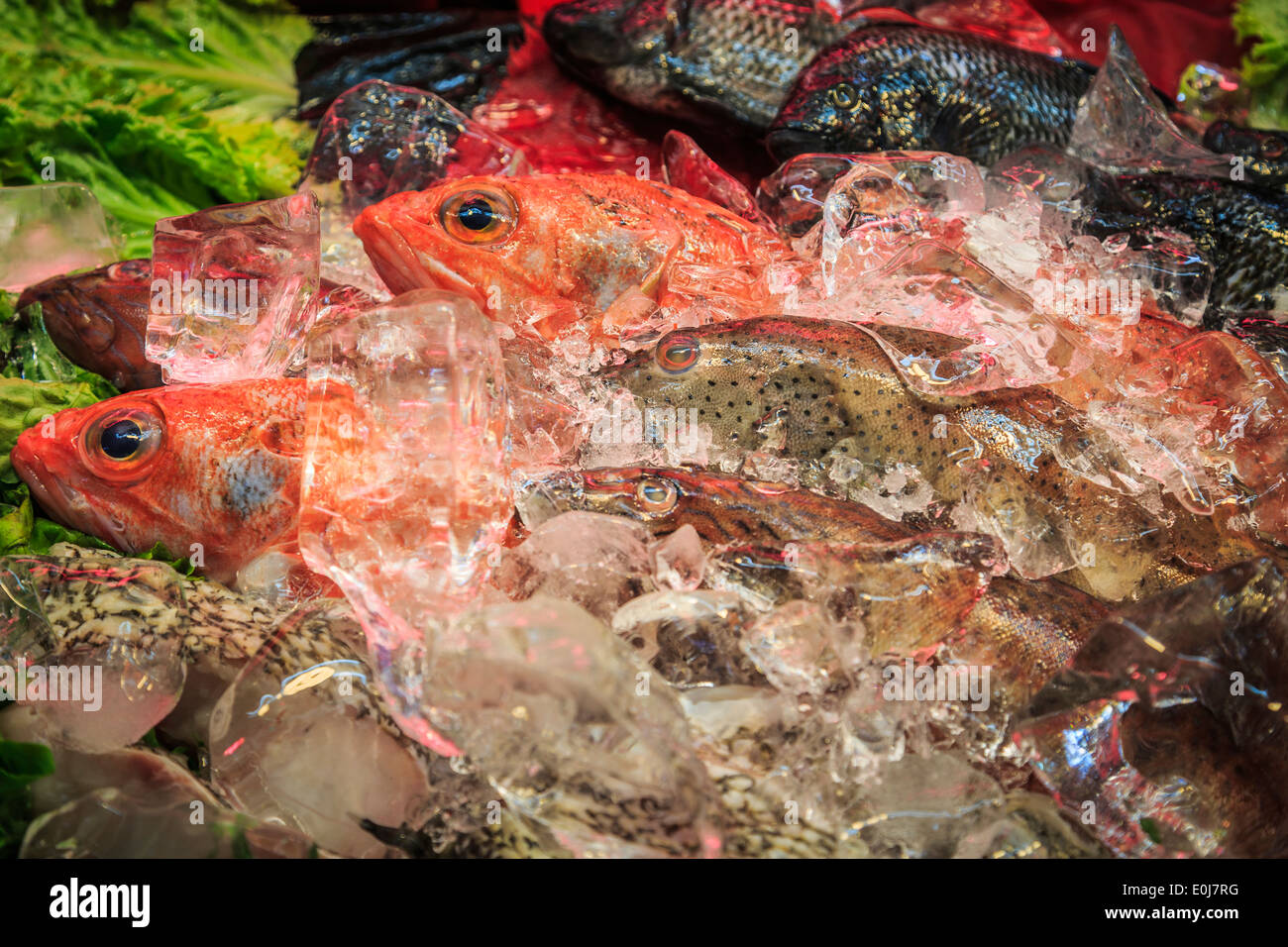 Fresh fishes with ice at market Stock Photo