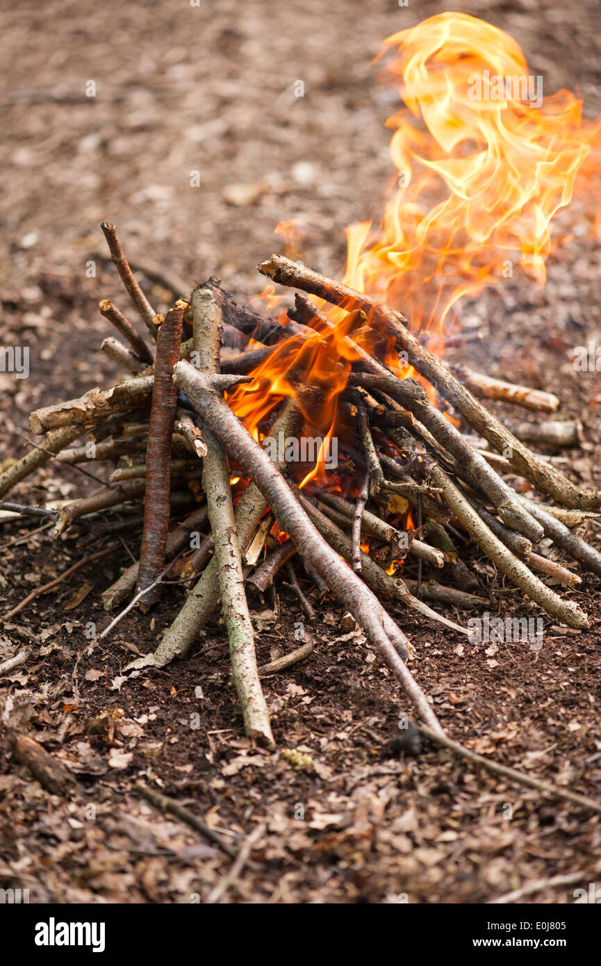 South East England , Kent , Woodlands , spring woods forest wood fire campfire camp fire flames twigs branches for cooking Stock Photo
