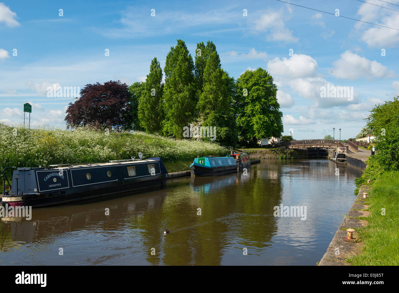 Canal Boats at Beeston Marina, Nottingham England UK Stock Photo - Alamy