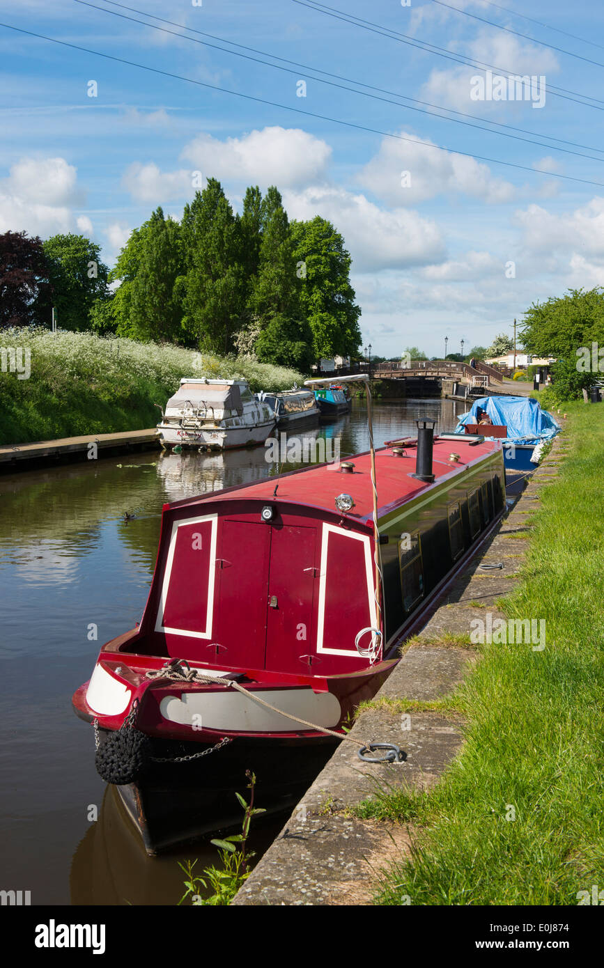 Canal Boats at Beeston Marina, Nottingham England UK Stock Photo Alamy