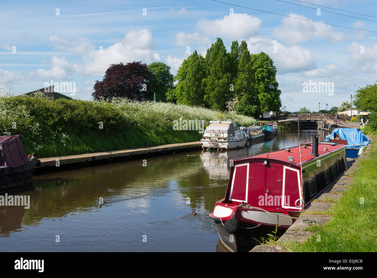 Canal Boats at Beeston Marina, Nottingham England UK Stock Photo Alamy