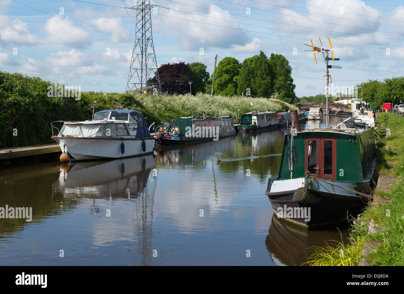 Canal Boats at Beeston Marina, Nottingham England UK Stock Photo Alamy