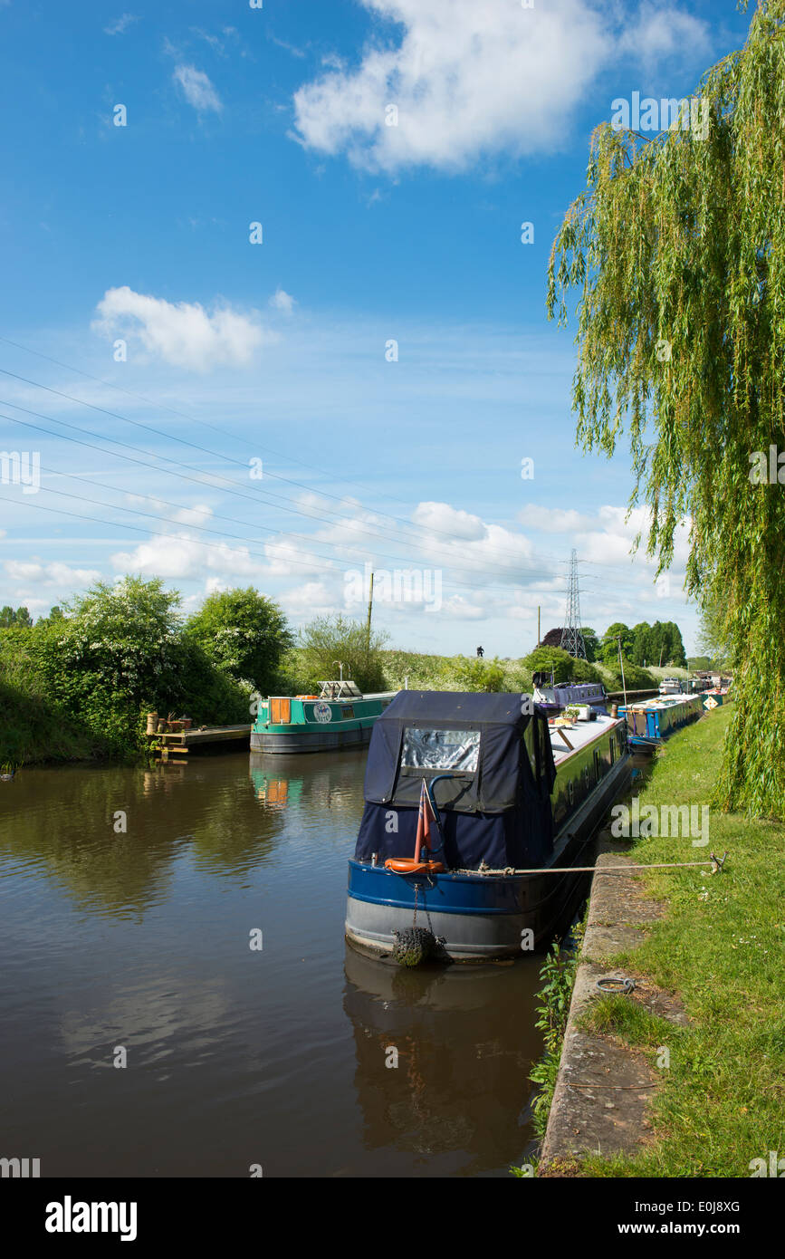 Canal Boats at Beeston Marina, Nottingham England UK Stock Photo Alamy