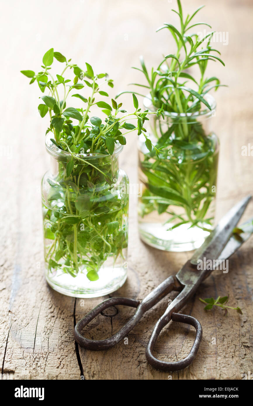 Herbs fresh jar hires stock photography and images Alamy