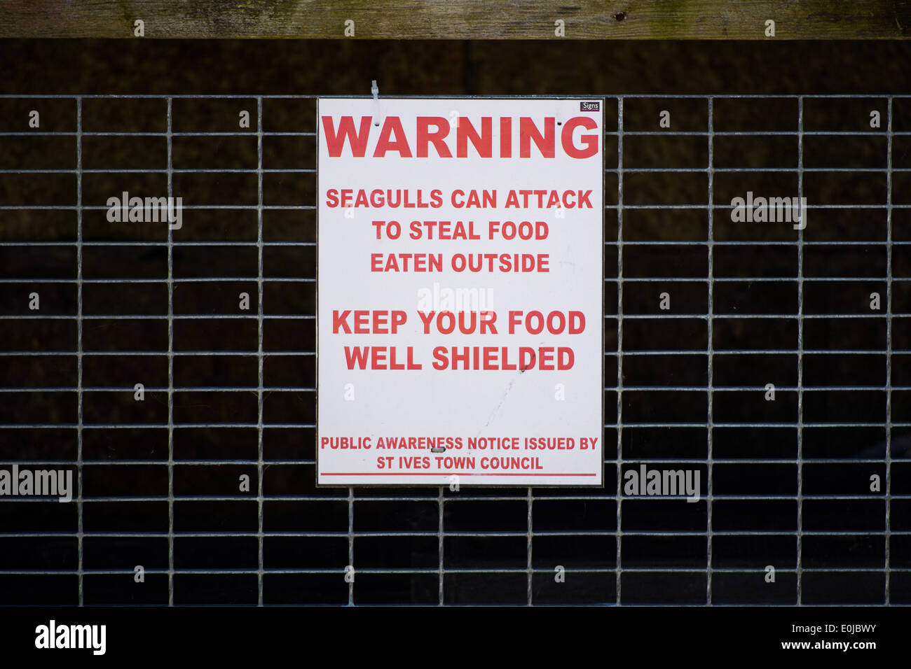 A sign in St Ives warning people that local seagulls may attack to steal food and advising people to keep their food shielded. Stock Photo