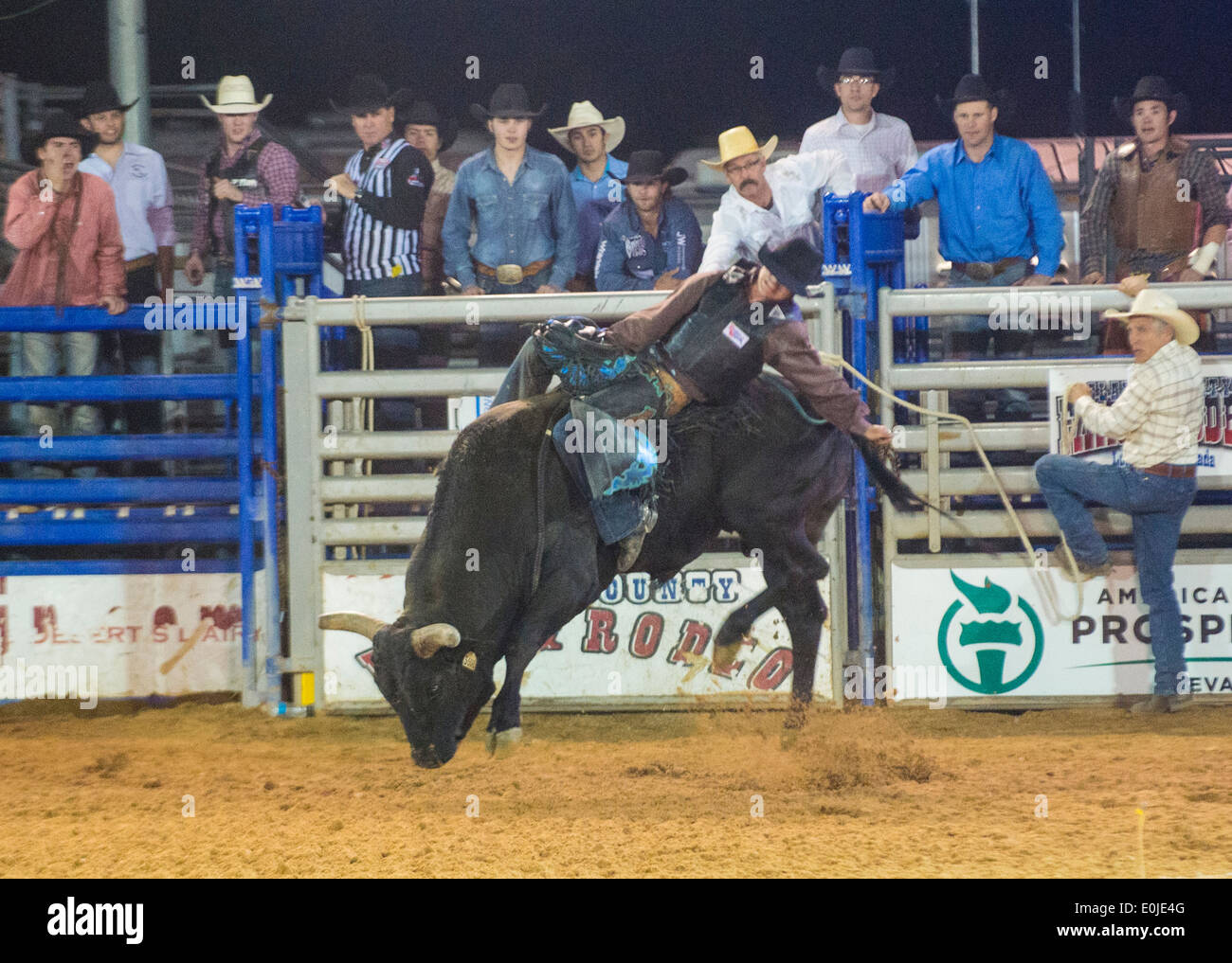Cowboy Participating in a Bull riding Competition at the Clark County ...